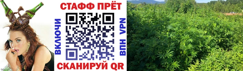 Названия наркотиков Липки СОЛЬ  Конопля  Псилоцибиновые грибы  Мефедрон  Гашиш  Кокаин  АМФЕТАМИН 
