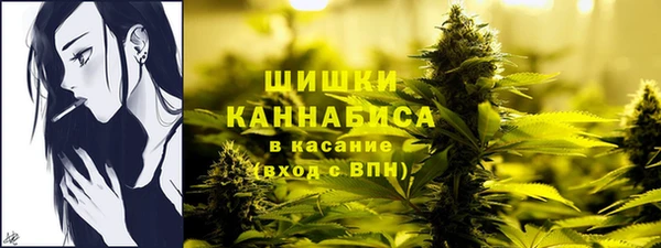 ПСИЛОЦИБИНОВЫЕ ГРИБЫ Аркадак